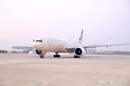 花湖机场迎来首家国外航空公司入驻