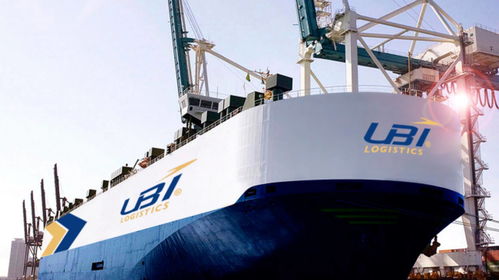 国际物流公司品牌设计应该怎么做 物流logo设计和vi设计的重要性