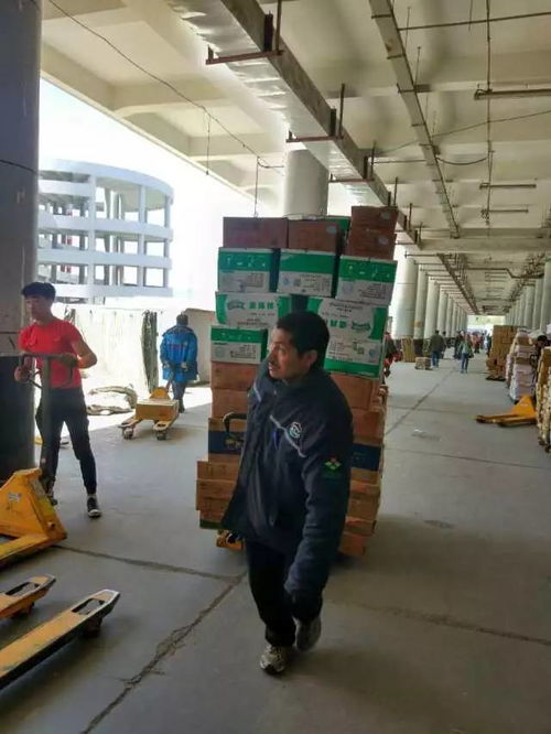 海鸿国际物流港务工人员生活用品公益捐助项目